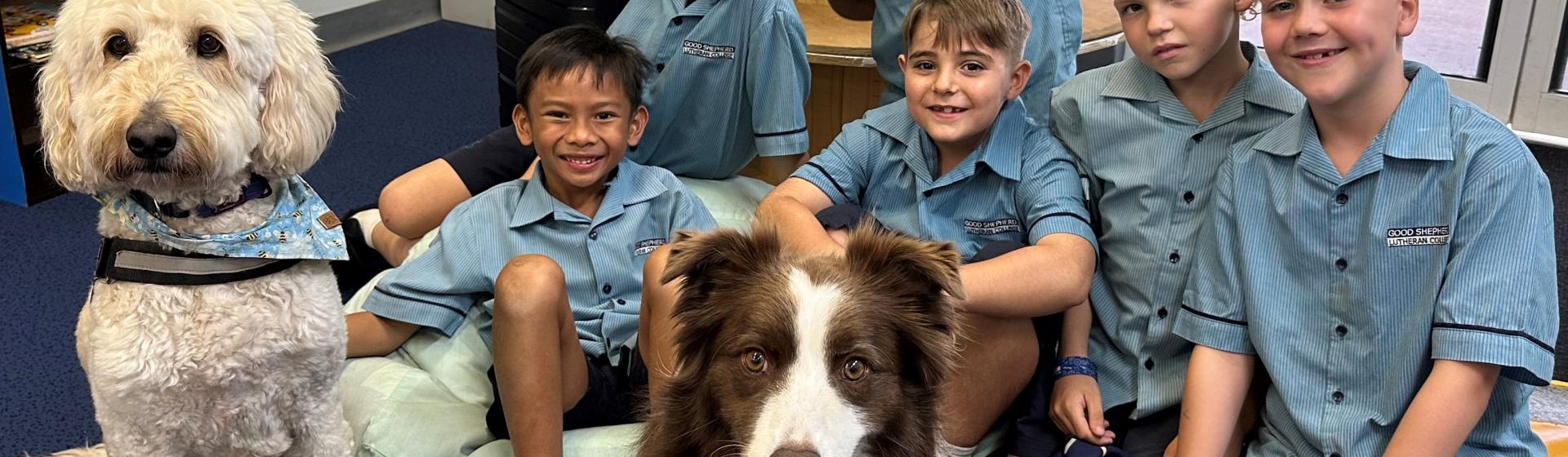 'Mind Your Paws' Program for Palmerston Campus Students Good Shepherd